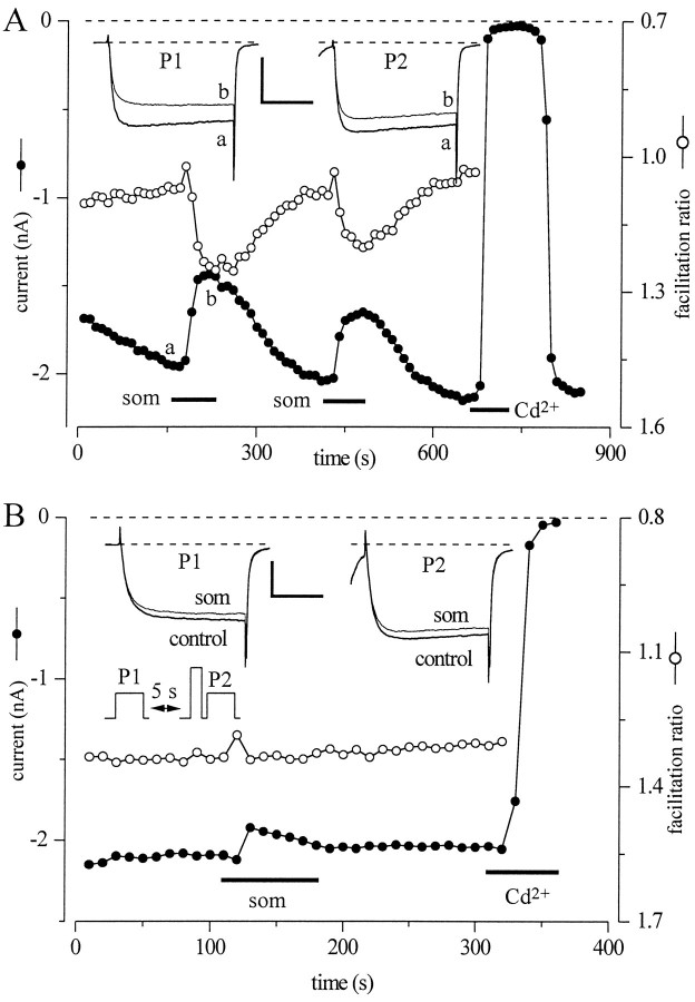 Fig. 8.