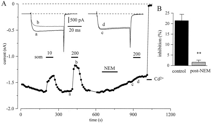 Fig. 10.