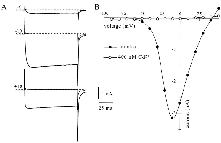 Fig. 2.