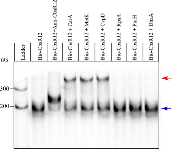 FIG 5