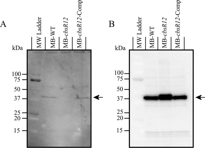 FIG 9