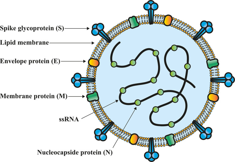 Figure 1