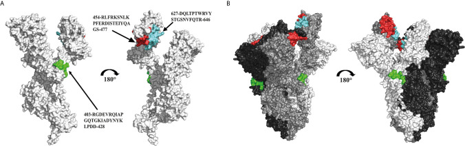 Figure 3