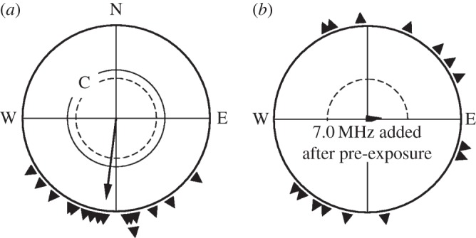 Figure 2.