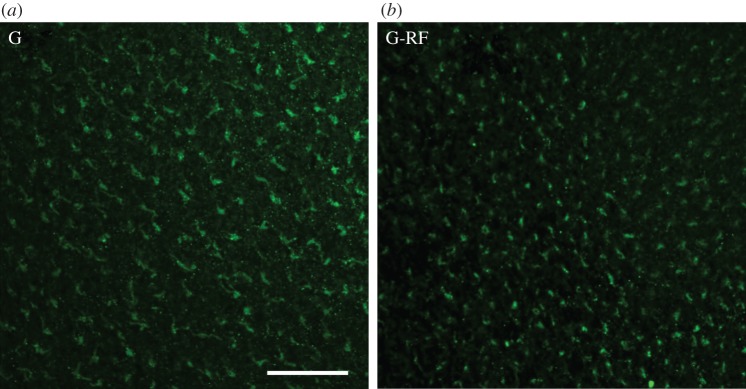 Figure 1.