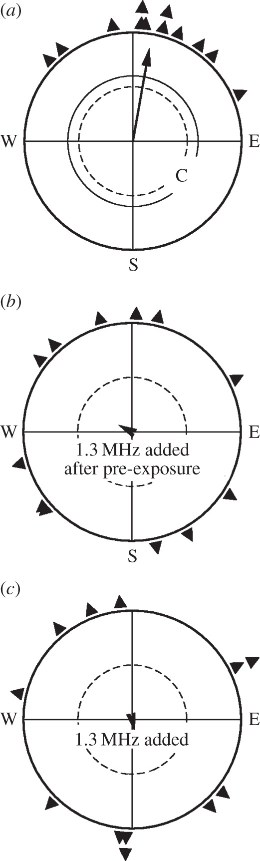 Figure 3.