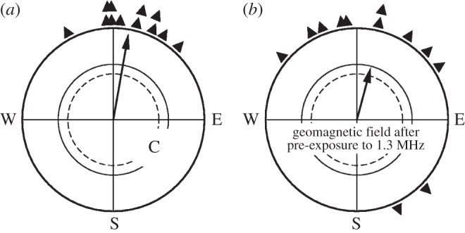 Figure 4.