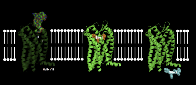 Fig. 3