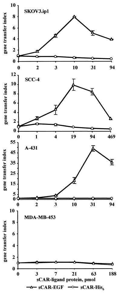 FIG. 7