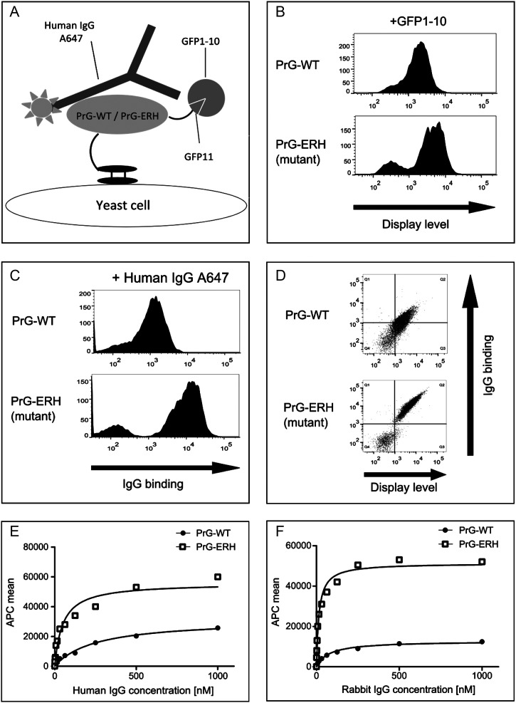 Fig. 4.