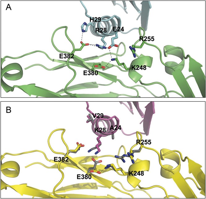 Fig. 2.