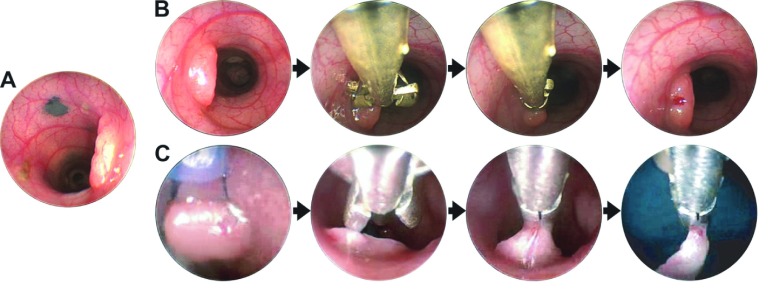 Fig. 4.