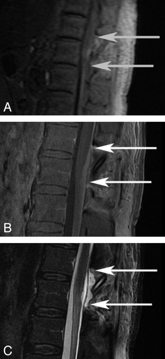 Fig 1.