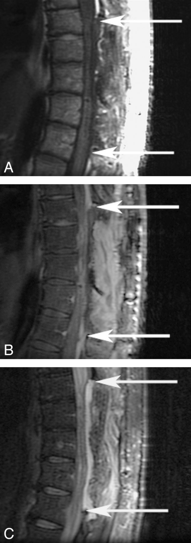 Fig 2.