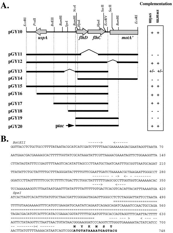 FIG. 5