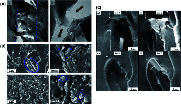 Fig. 12