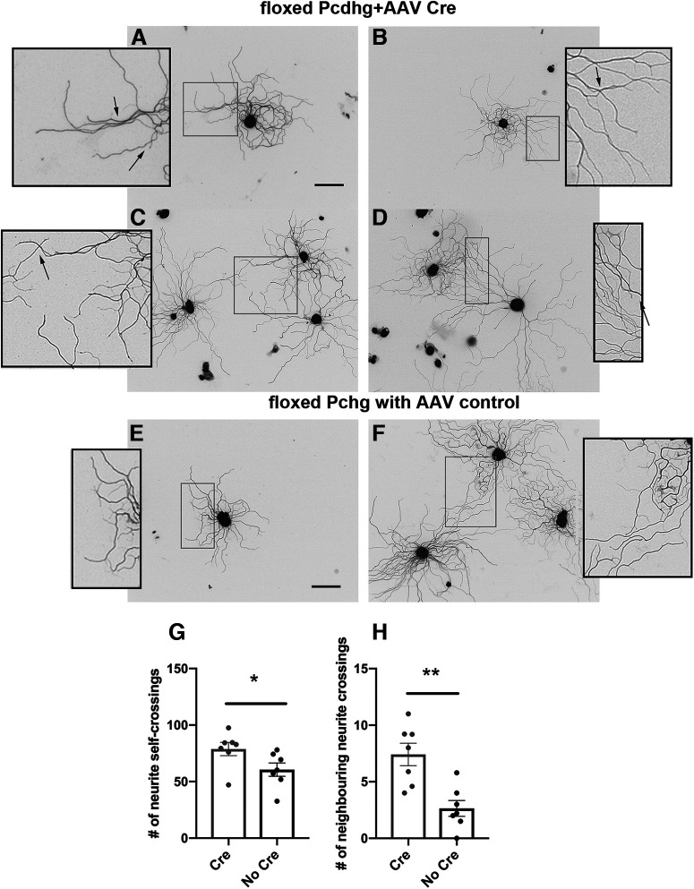 Figure 6.