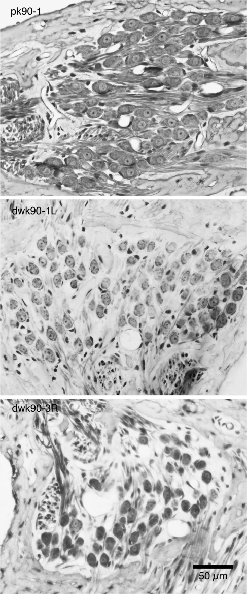 FIG. 10