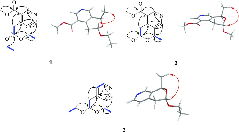 Fig. 2