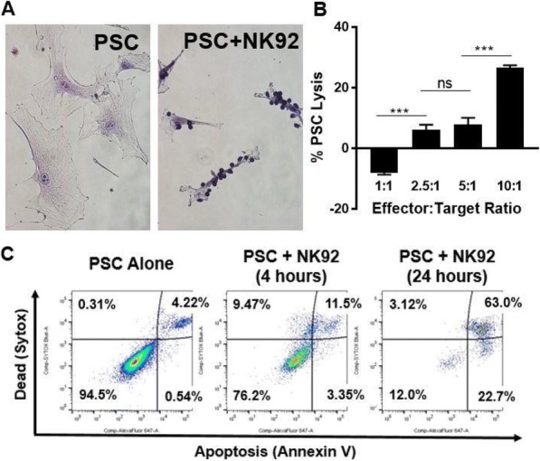 Fig. 2 (abstract P526).