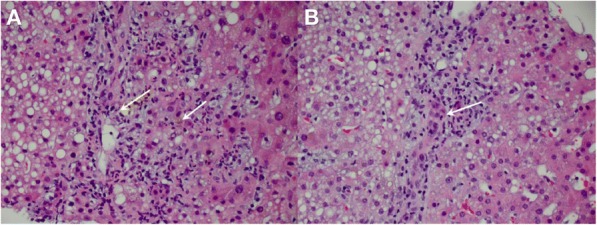 Fig. 3 (abstract P702).