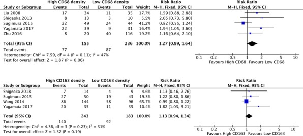 Fig. 6 (abstract P489).