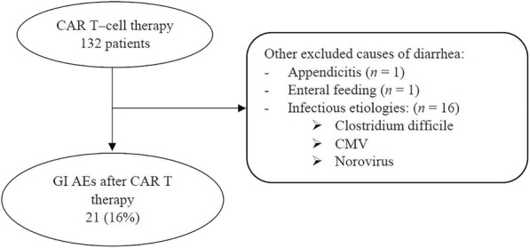 Fig. 1 (abstract P533).