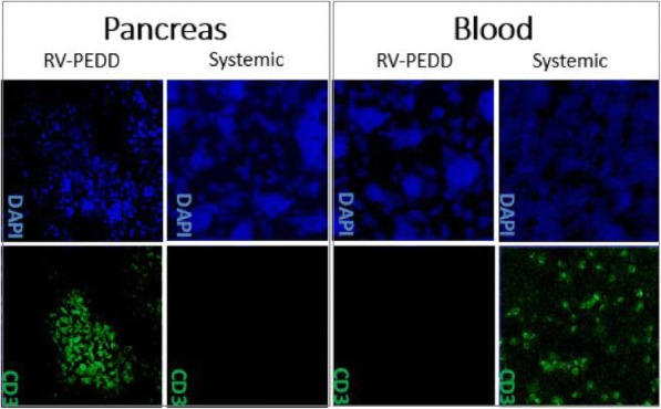 Fig. 1 (abstract P456).