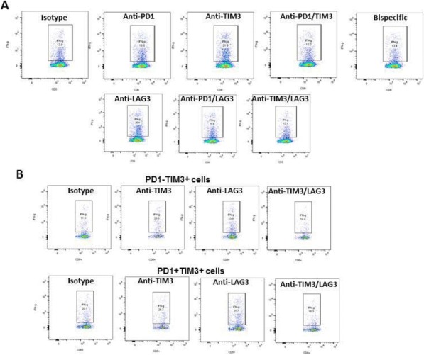 Fig. 3 (abstract P648).