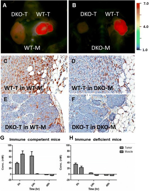 Fig. 1 (abstract P458).