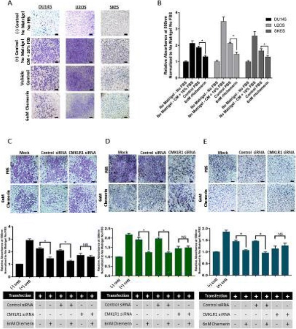 Fig. 2 (abstract P579).