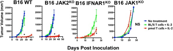 Fig. 1 (abstract P547).