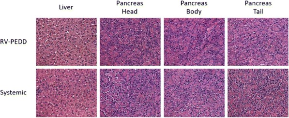 Fig. 2 (abstract P456).