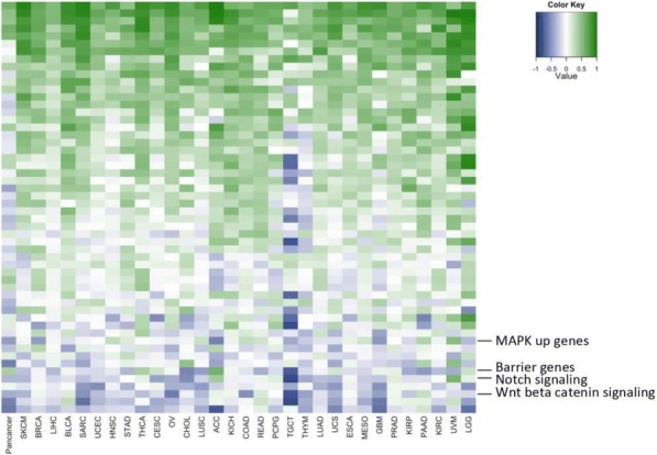 Fig. 2 (abstract P587).