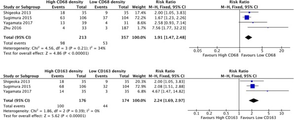 Fig. 4 (abstract P489).