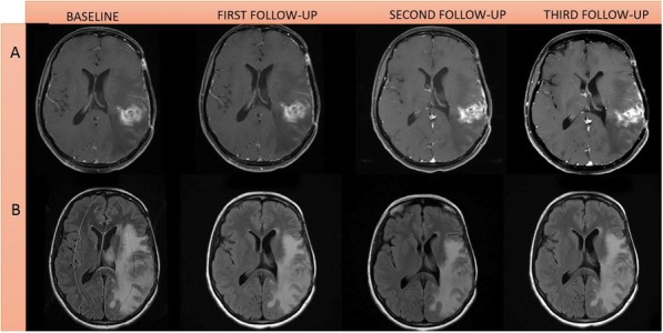 Fig. 1 (abstract P431).