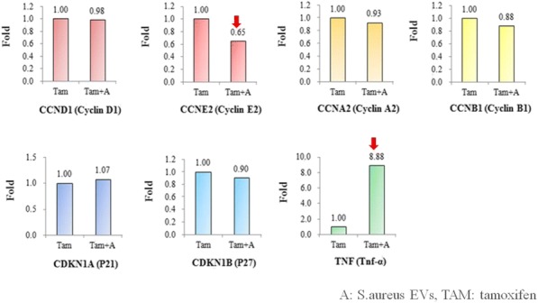 Fig. 5 (abstract P569).