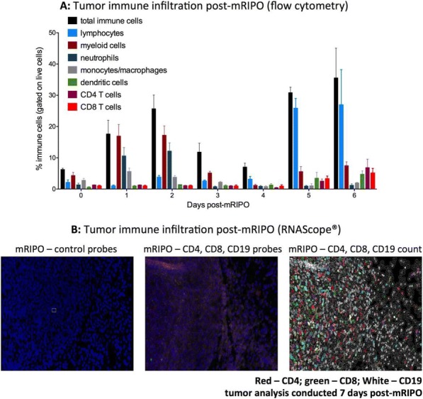 Fig. 1 (abstract P612).