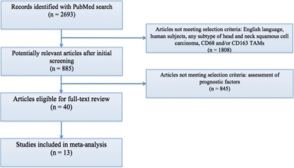 Fig. 1 (abstract P489).