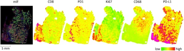 Fig. 1 (abstract P442).