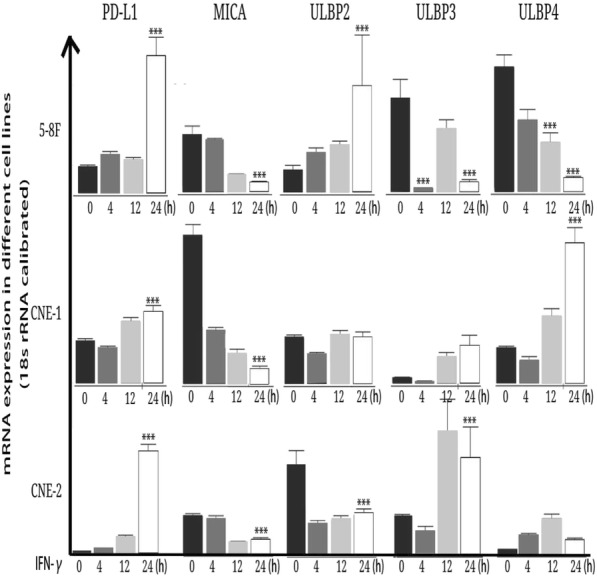 Fig. 4 (abstract P544).