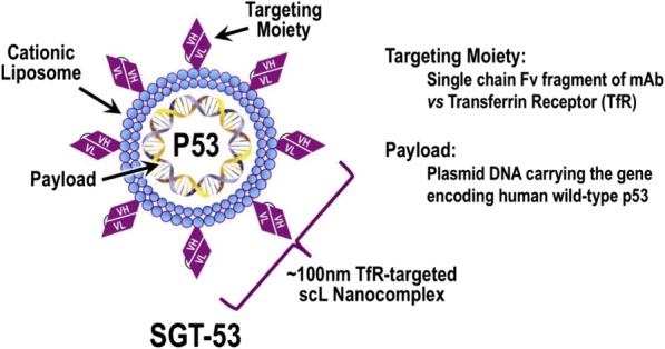 Fig. 1 (abstract P457).