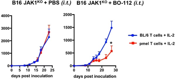 Fig. 2 (abstract P547).