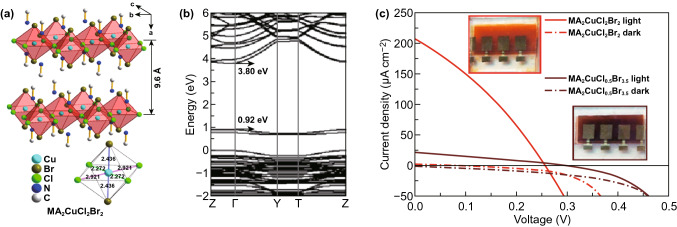 Fig. 10