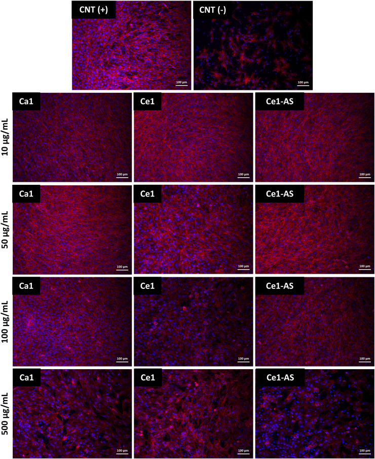 Fig. 10