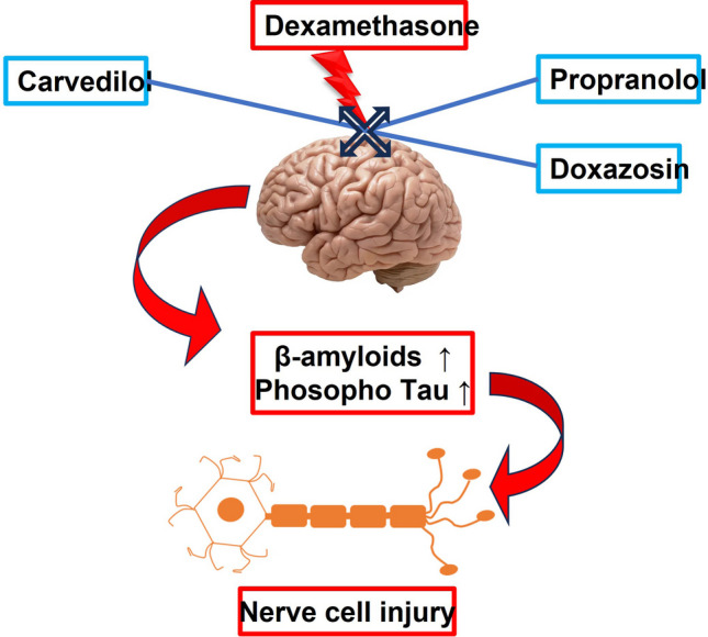 graphic file with name 40199_2023_490_Figa_HTML.jpg