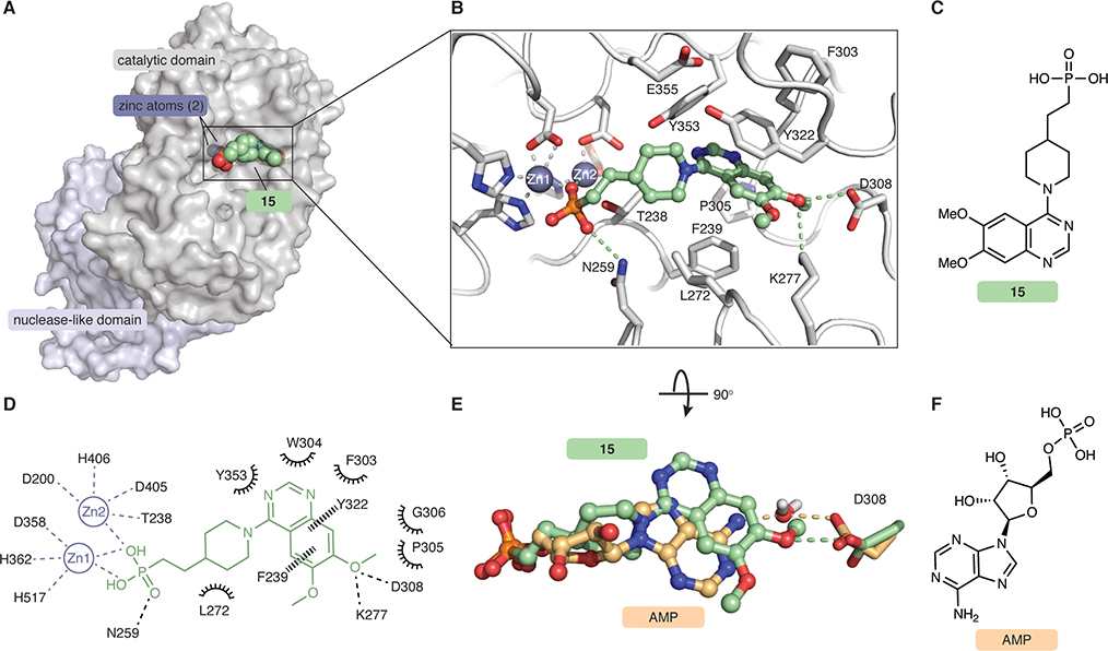 Figure 3 |