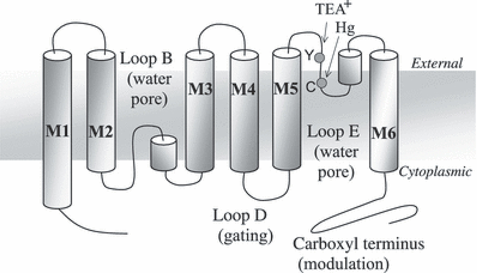 FIGURE 1.