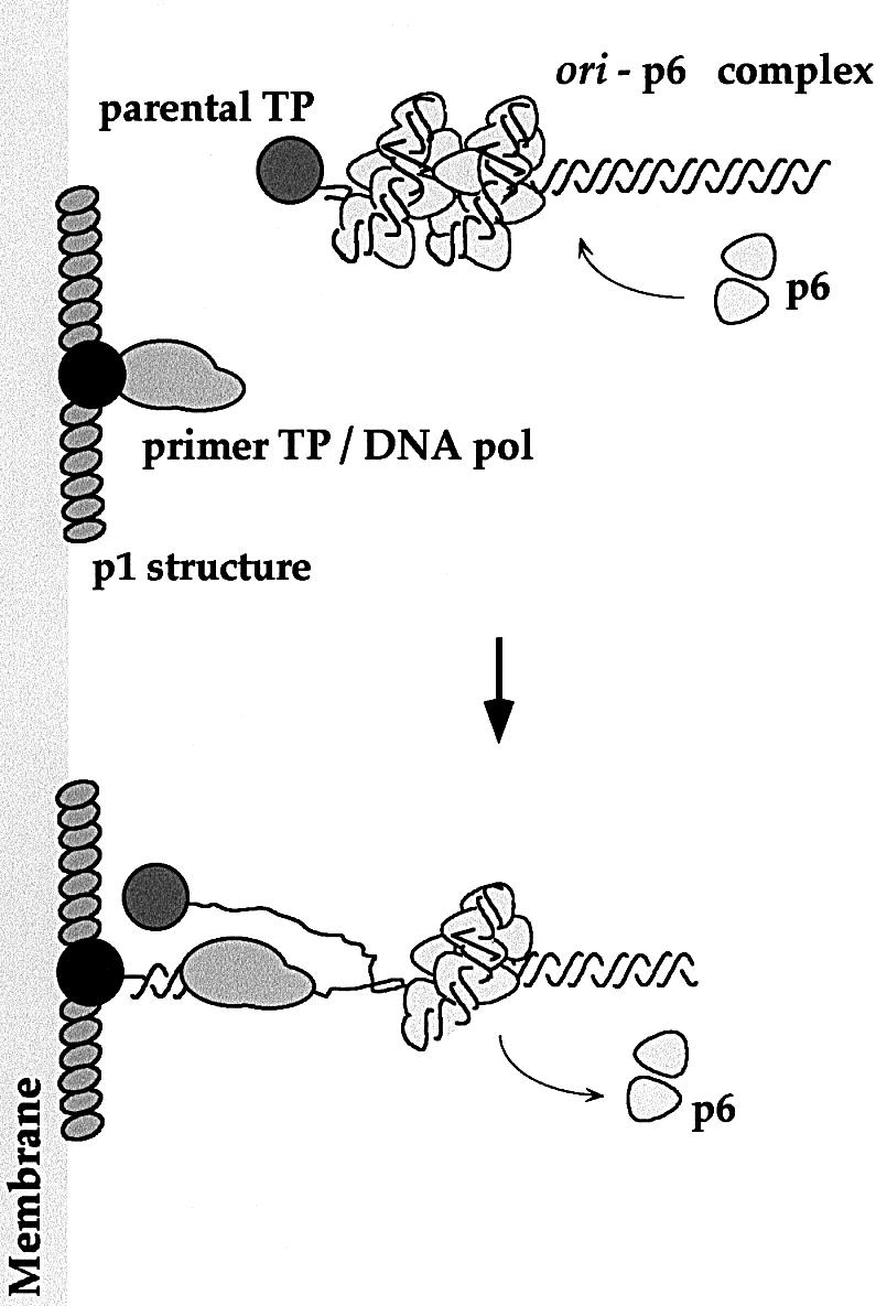 graphic file with name cdd520f8.jpg