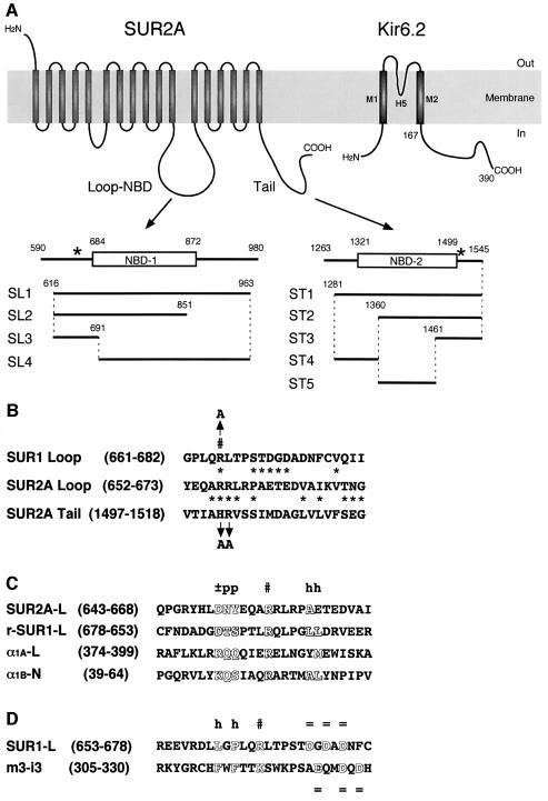 graphic file with name cdd488f7.jpg